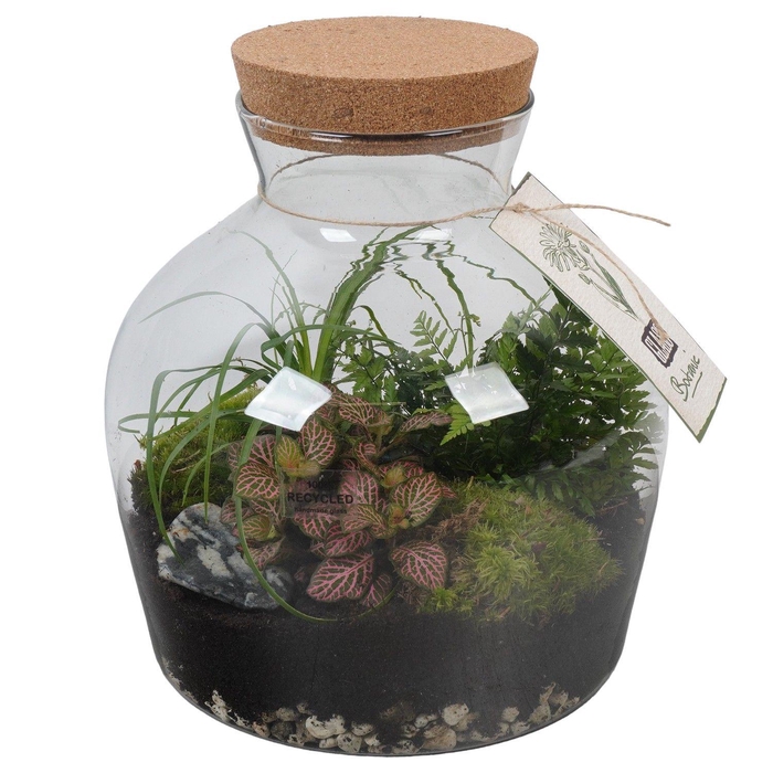 <h4>PTGIG2174 Arrangement Greens in glass in glazen terrarium</h4>