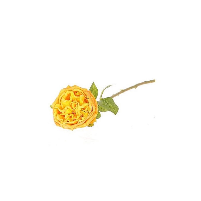 <h4>Stem Rose Florabunda L44W13H10</h4>