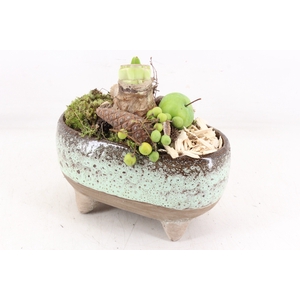 arr4 Amaryllis MB - Ker. ovaal op pootjes