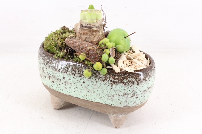 <h4>arr4 Amaryllis MB - Ker. ovaal op pootjes</h4>