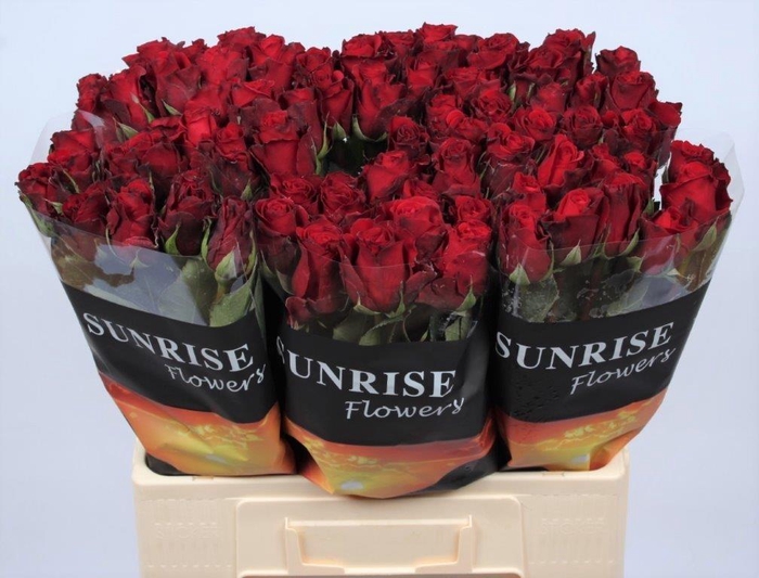 <h4>R GR UPPER CLASS</h4>