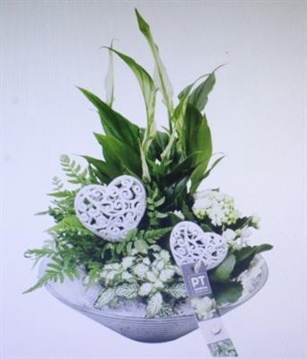 <h4>4977WIT GLAS 28 LOVE</h4>