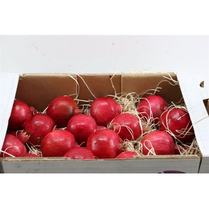 Sier Granaatappel Red X24 P Box