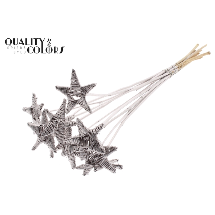<h4>Lata Star on stem Champagne</h4>