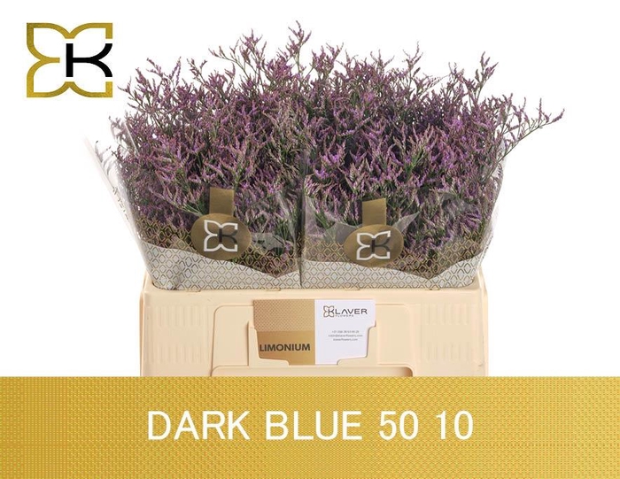 <h4>LIM SAF DARK BLUE</h4>