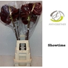 Anthurium Showtime