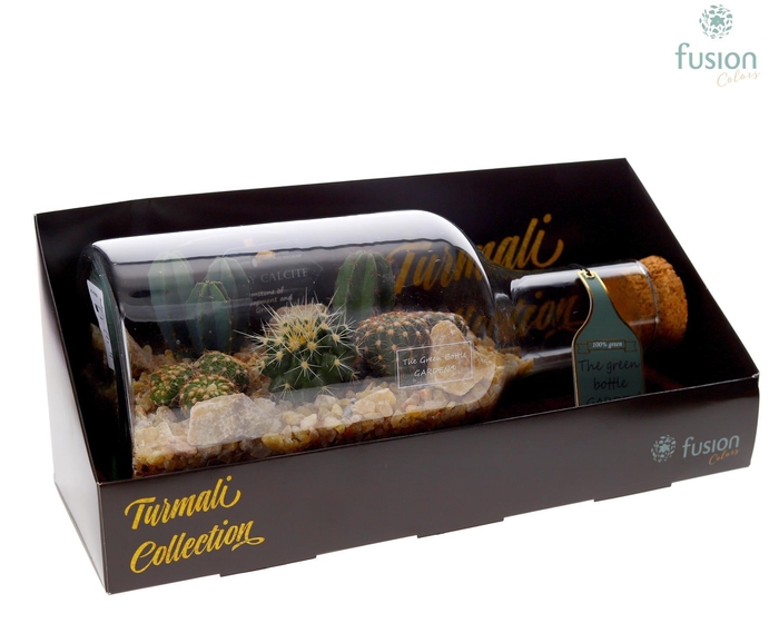 <h4>Green Bottle Fles Small liggend met Cactussen</h4>