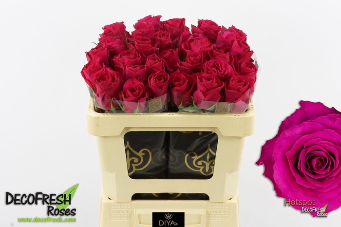 <h4>R Gr Hotspot</h4>