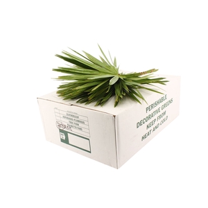 Palmetto X35