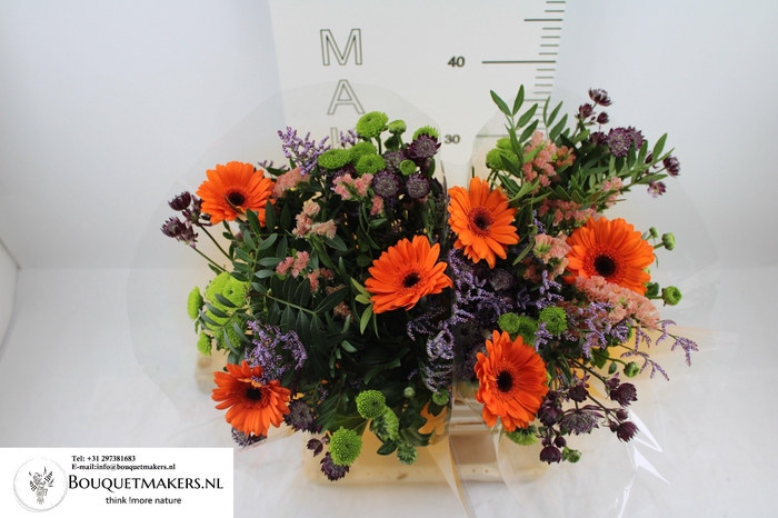 <h4>GEM BOEKET OV</h4>