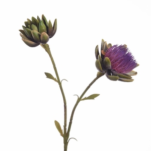 AF Cynara x2 L81cm Lilac