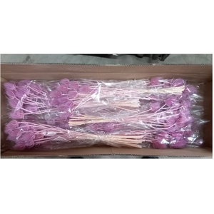 DF Dipsacus Li. Purple Bs 130g