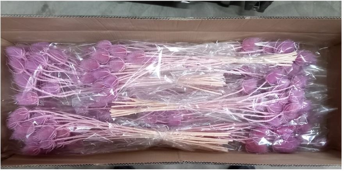 <h4>DF Dipsacus Li. Purple Bs 130g</h4>