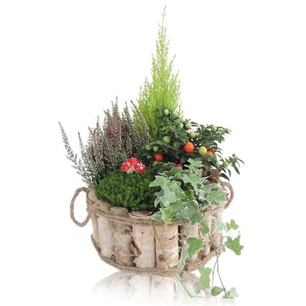 Collectie Anna Arrangement in Houten Bak Rond 26 cm