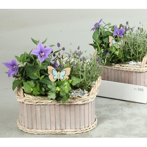 ARR TUINPLANTEN