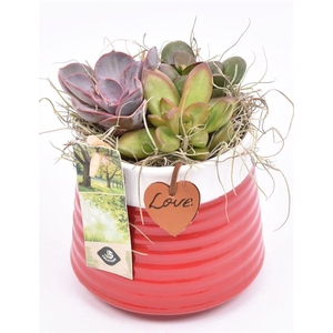 Keramiek met love hanger 11.5CM