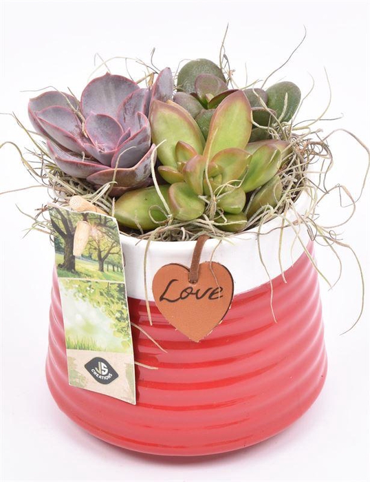 <h4>Keramiek met love hanger 11.5CM</h4>