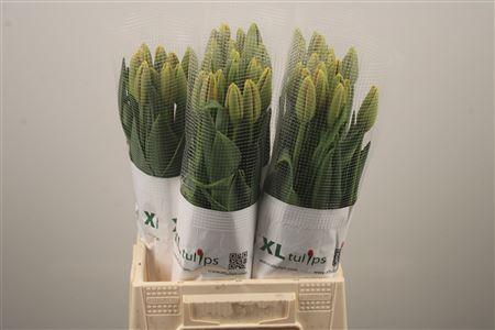 <h4>Tu En Dordogne</h4>