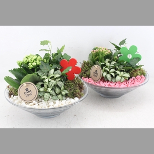 arr2 PL - Glas schaal 23cm - roze/wit