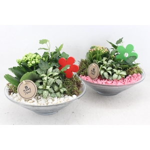 arr2 PL - Glas schaal 23cm - roze/wit