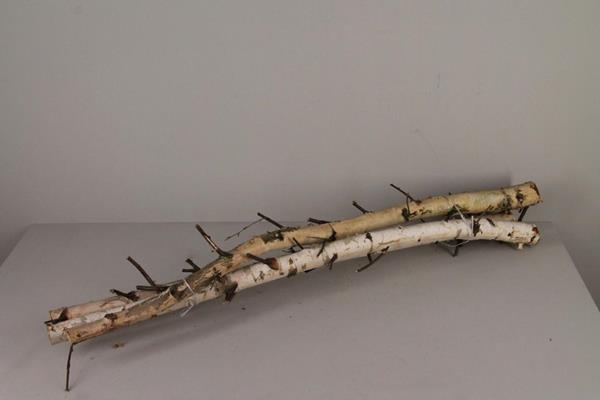 Birch Stems Bundle (3pcs)