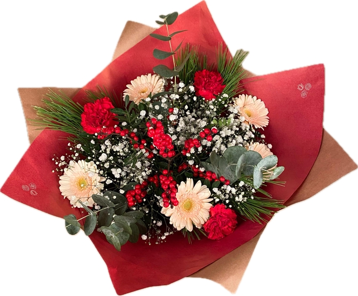 <h4>Bq Xmass Xlence L</h4>