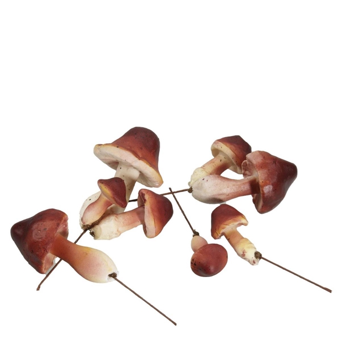 <h4>Autumn Mushroom/wire 2-6cm x24</h4>