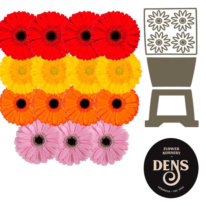 <h4>Gerbera Mix op Rij Diamond</h4>