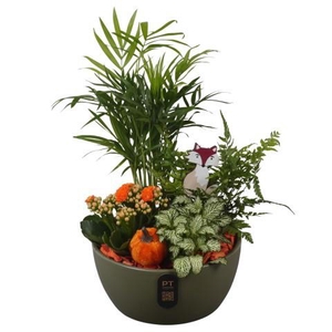 PTHI3232 Arrangement Autumn Indoor in keramiek schaal