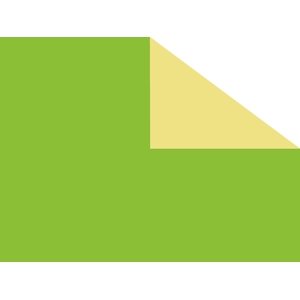 FOLIE TWOCOLOURED 40M 60CM APPLEGREEN - LIGHTGREEN