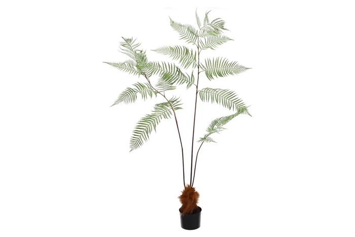 <h4>Silk Fern Polystichum In Pot Green 158cm</h4>