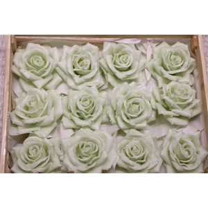 Wax Roos Pastel Groen