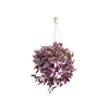 TRADESCANTIA ZEBRINA C21 ROXO