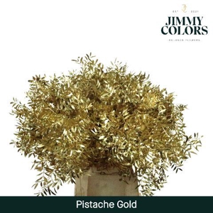Pistache L50 Metallic Gold