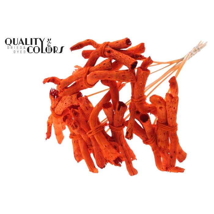 <h4>Gandiraj on stem Orange</h4>