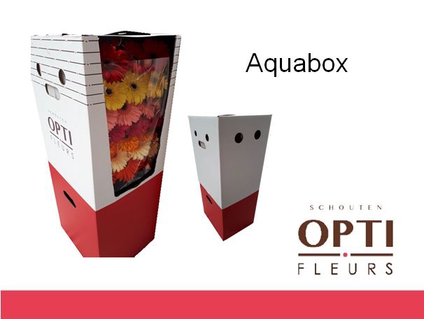 <h4>Gerbera Mix op Rij Aquabox</h4>