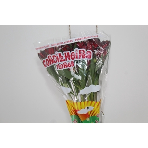 ALSTROEMERIA MERLOT 080 CM VERMELHO