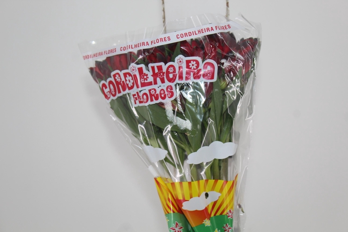 <h4>ALSTROEMERIA MERLOT 080 CM VERMELHO</h4>