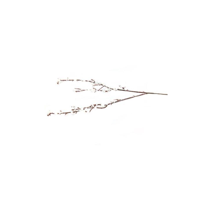 <h4>Branch Berry Bracea 5Pcs L30</h4>