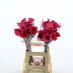 Calla Tokyo