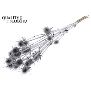 Cardi Distel Natural 5pc/bunch 70cm Silver + Glitter