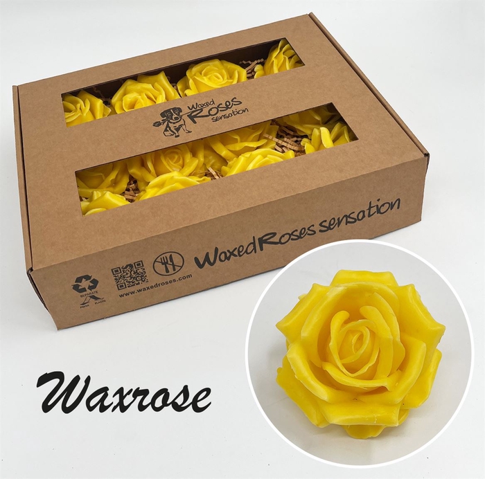 <h4>R Zijde Wx Geel</h4>