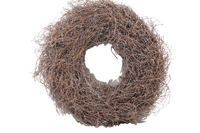 Wreath Fern Root D48