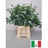 EUC POPULUS BLAD PB SUPER