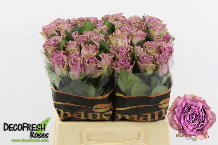 <h4>R Gr Byzantine</h4>