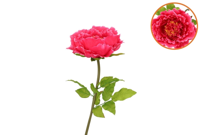 Silk Amazing Peony Beauty Fuchsia Xl 38x115cm