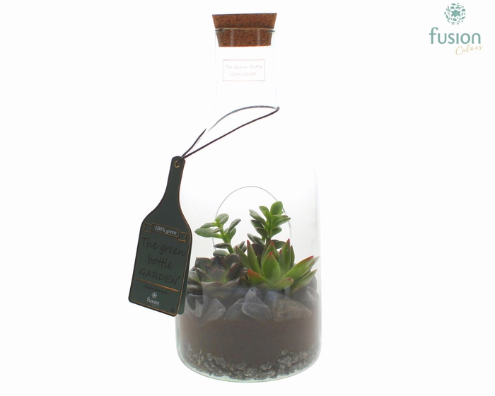 <h4>Green Bottle Fles Small met Succulenten</h4>