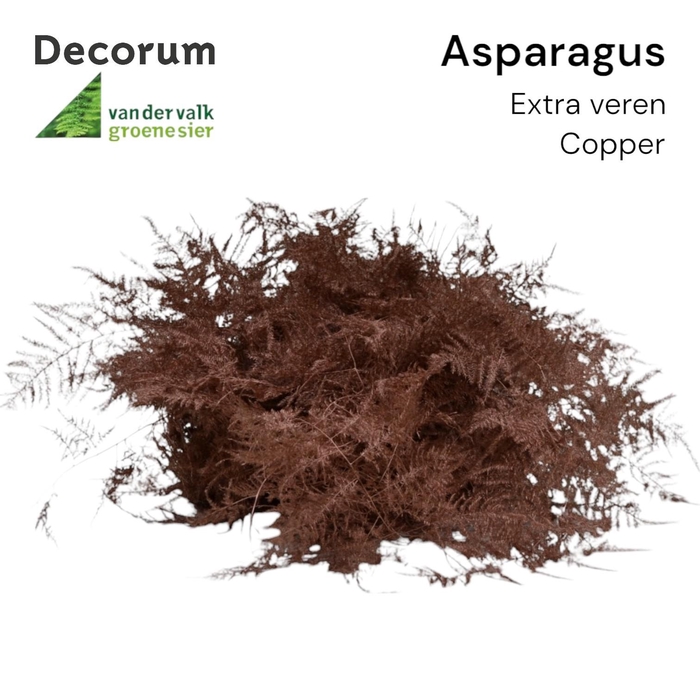 <h4>Asp extra veren Copper Box</h4>