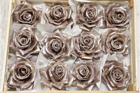 <h4>Wax Roos Pearl Champagne</h4>