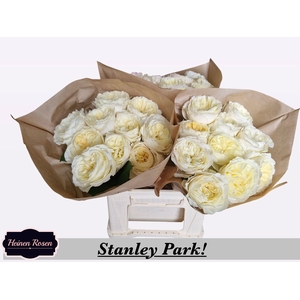 R GR STANLEY PARK!